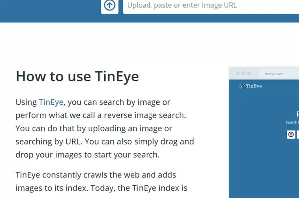 d180d0b5d188d0b8d182d18c d180d0b5d0b1d183d181 d0bfd0be d184d0bed182d0be d0bed0bdd0bbd0b0d0b9d0bd d0b1d0b5d181d0bfd0bbd0b0d182d0bdd0be 65d9fbb457644