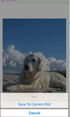 d180d0b5d188d0b8d182d18c d180d0b5d0b1d183d181 d0bfd0be d184d0bed182d0be d0bed0bdd0bbd0b0d0b9d0bd d0b1d0b5d181d0bfd0bbd0b0d182d0bdd0be 65d9fbb5188f5