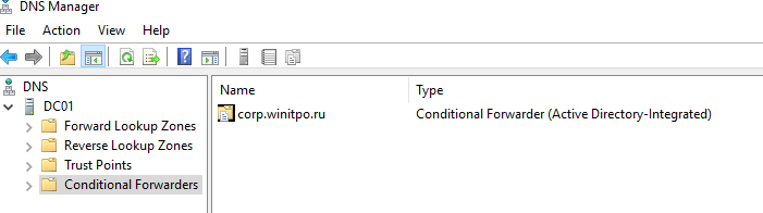 настройка условной пересылки dns в windows server 216
