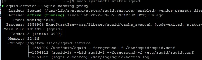 systemctl status squid - running