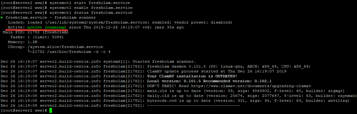 systemctl status freshclam.service