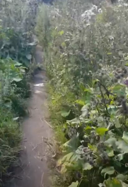 d183d182d0bad0b8d0bdd0b0 d0b7d0b0d0b2d0bed0b4d18c d181d0bad0bbd0b0d0b4 d0b2d0b0d0b9d0bbd0b4d0b1d0b5d180d180d0b8d0b7 d0b3d0b4d0b5 d0bd 65d9e072d9cd7