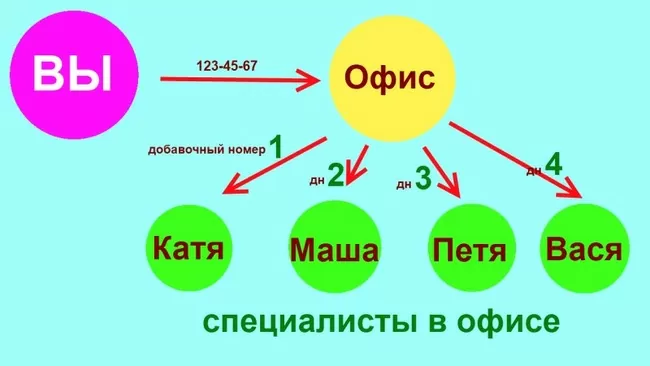 d187d182d0be d0b7d0bdd0b0d187d0b8d182 d0b4d0bed0b1d0b0d0b2d0bed187d0bdd18bd0b9 d0bdd0bed0bcd0b5d180 d0b8 d0bad0b0d0ba d0b5d0b3d0be d0bd 65d9fd2b3b64f