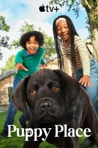 d189d0b5d0bdd18fd187d18cd0b5 d181d187d0b0d181d182d18cd0b5 1 d181d0b5d0b7d0bed0bd d181d0bcd0bed182d180d0b5d182d18c d0bed0bdd0bbd0b0d0b9 65d513a57d062