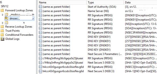 содержимое безопасной dns зоны dnssec