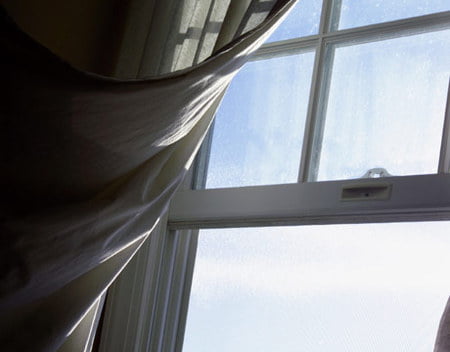 ehtiyot boling yelvizak haqida malumot 65da27116c9aa