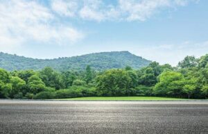 Ekzotik suratlar 2 ekzotik suratlar 65cadf6c770db