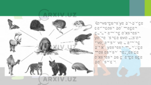 Evolutsion ta’limot 2 evolutsion talimot 65ca8a40023db