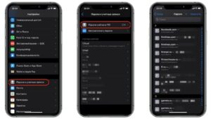 iphoneda turli saytlardagi barcha akkauntlarning login va parollarini korish 65cadc423fec9