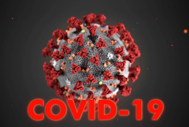 koronavirus d0bad0bed180d0bed0bdd0b0d0b2d0b8d180d183d181 farzand kocabbrishga tasiri bormi yoxud homilagachi haqida toliq malumot oling 65d0a66509864