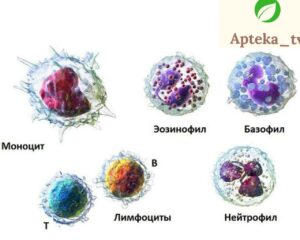 leykotsitoz va leykopeniya 65cb08b6607cc