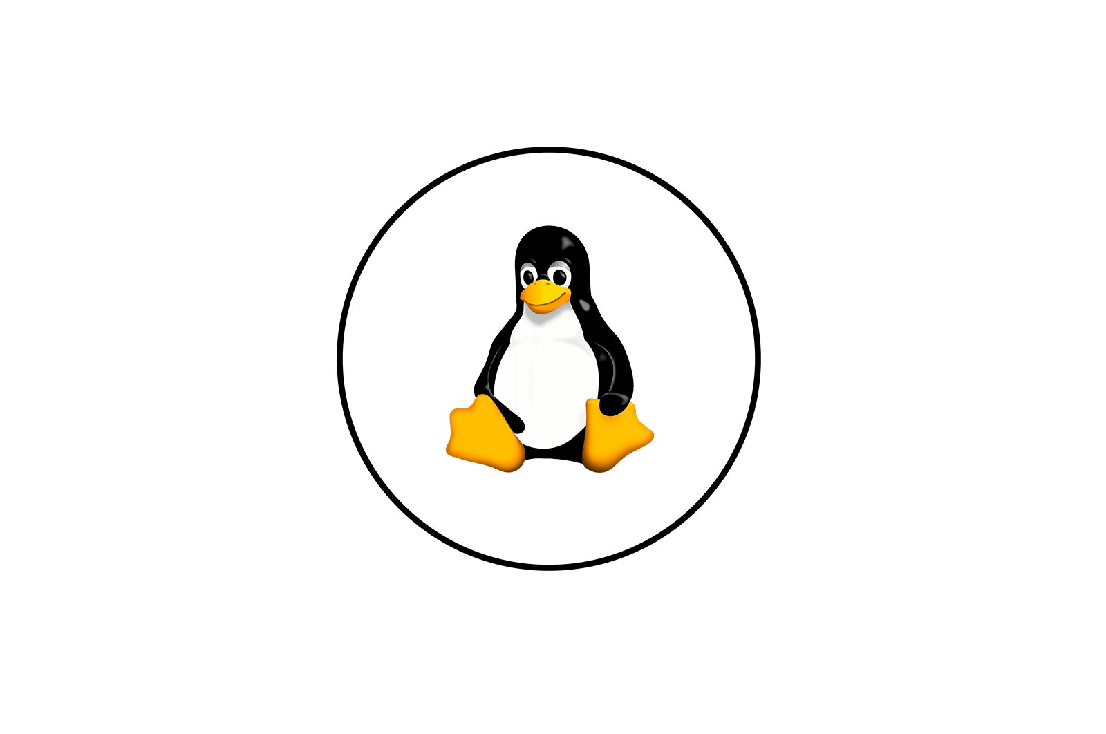 linux da foydalanuvchilar royxatini koring haqida malumot 65cd0ffab6b87