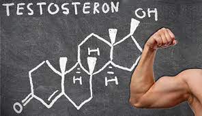 ortiqcha vazn va testosteron 65caacbfa0831