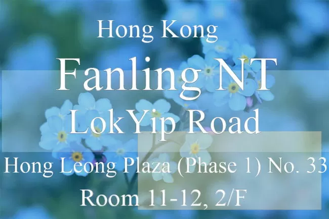 shein d18dd182d0be d0bad0b8d182d0b0d0b9d181d0bad0b8d0b9 d0bcd0b0d0b3d0b0d0b7d0b8d0bd d0b8d0bbd0b8 d0bdd0b5d182 65d9f3fc77cc0