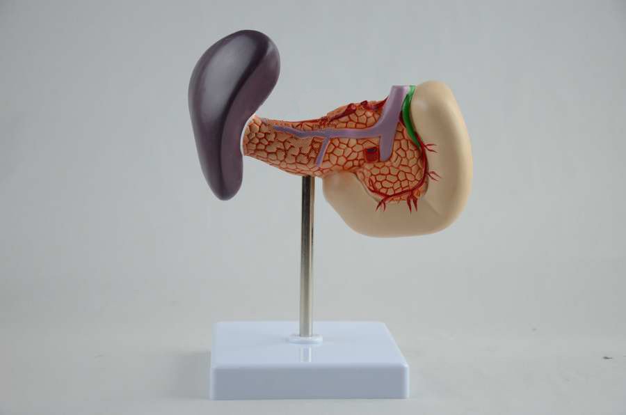 splenomegaliya taloq hajmining kattalashishi haqida malumot 65da2235428b1