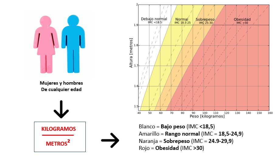 tana massasi indeksi bmi bu nima va uni erkaklar va ayollar uchun qanday hisoblash mumkin haqida malumot 65cd11f710cdb