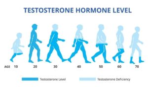 testosteron haqida 65caae712af37