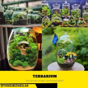 turli xil dizaynda chiroyli terrarium tayyorlab sotish 65cadd74f1e14