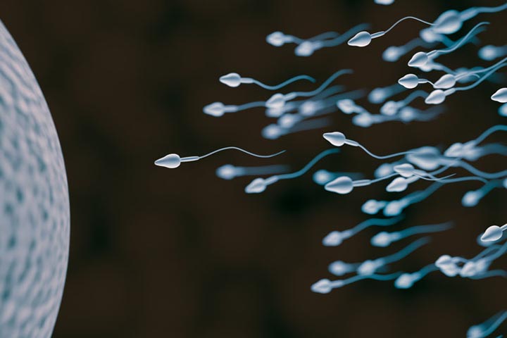 urug sperma sifatini oshirish mahsulotlar dorilar urugni kopaytirish uchun tavsiyalar 65d8e2832347d