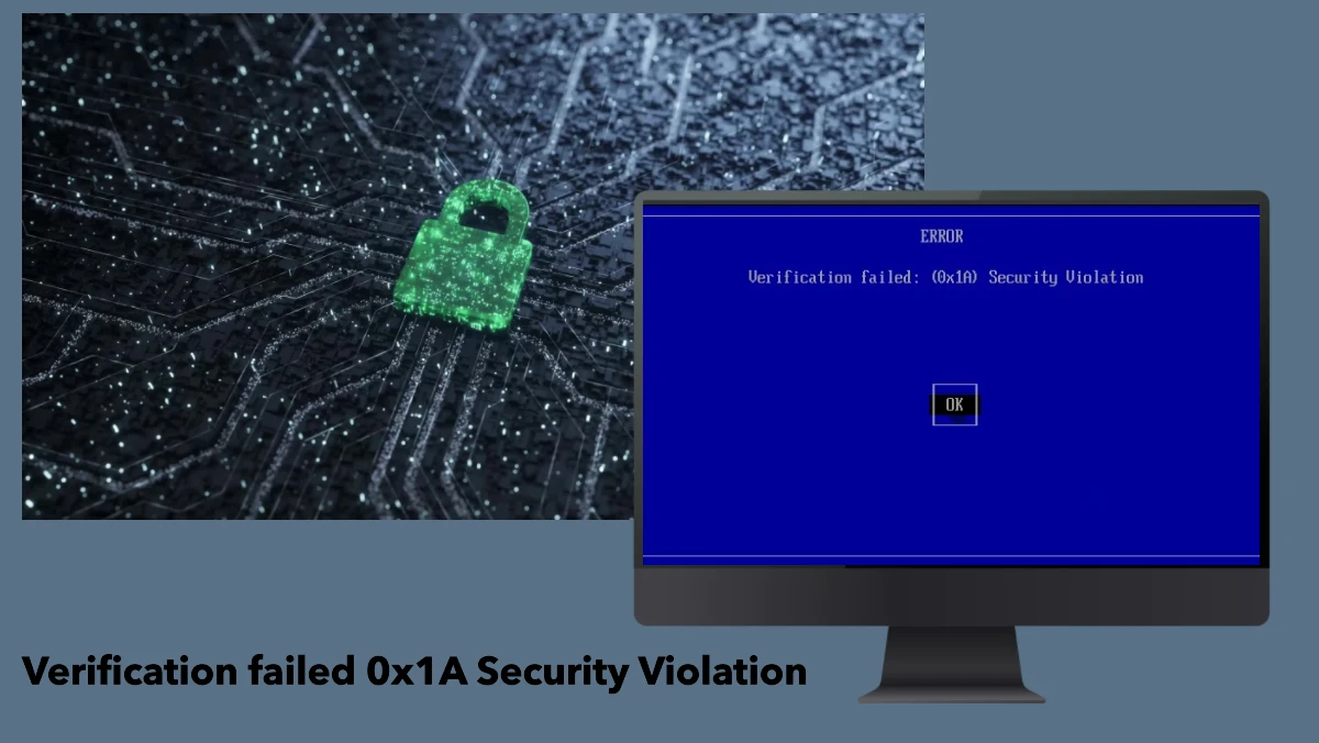 verification failed 0x1a security violation 65d22046d4032