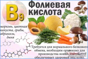 vitamin b 9 yoki folat kislotasi 65cb25fd12ebe