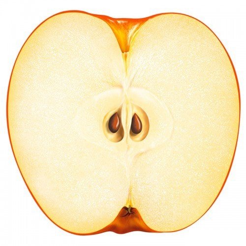 vitamin dushmanlari antivitaminlar haqida bilasizmi haqida malumot 65da37c6392c2