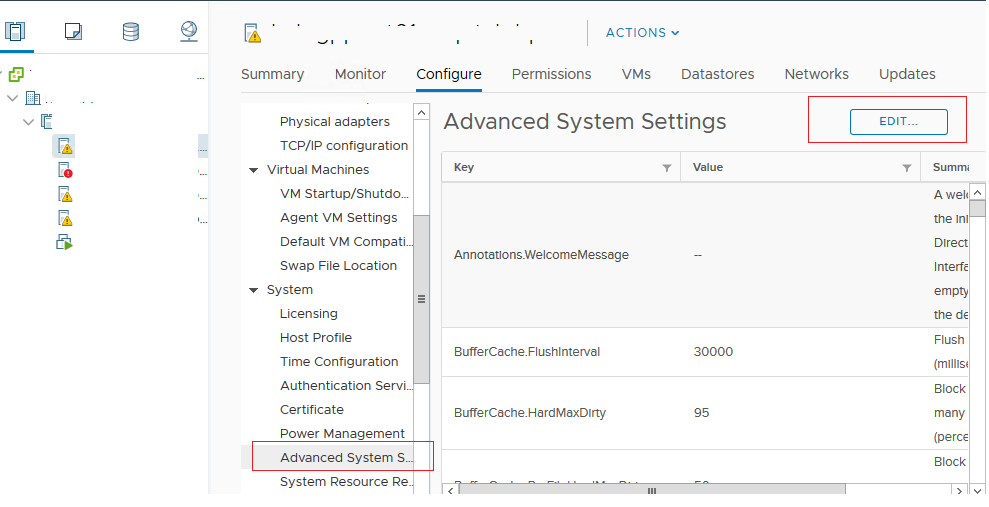 vmware Advanced System Settings