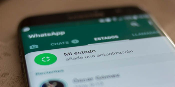 whatsapp dagi holatni korish haqida malumot 65cdbad99de1e