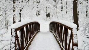 Xush kelibsan qish 2 xush kelibsan qish 65ca8e22daf13