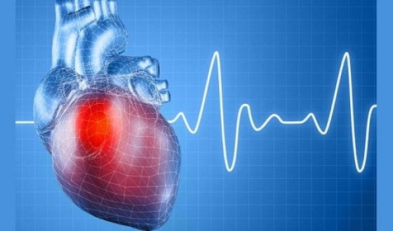 yurak soglomligi uchun muhim tavsiyalar haqida malumot 65da351e08613