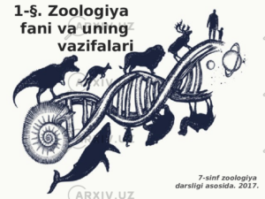 zoologiya fani va uning vazifalari 65ca89e03cf6e