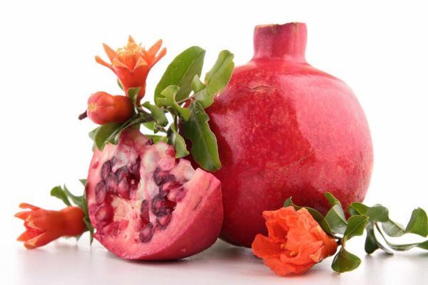 anorning shifobaxsh xususiyatlari nima 65f04ee88977c