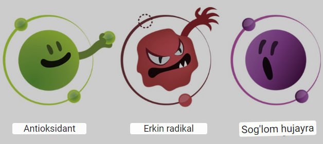 antioksidantlarning foydali