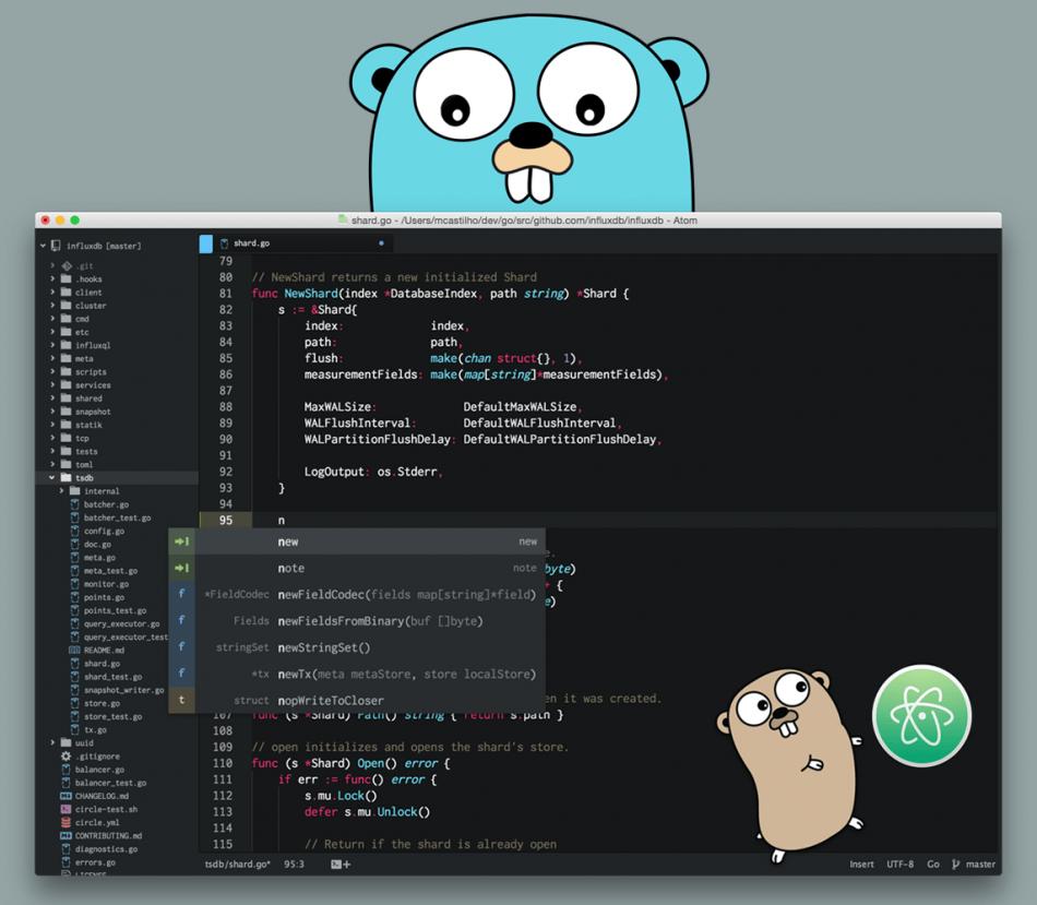 atom va golang 65e61ce9480f8