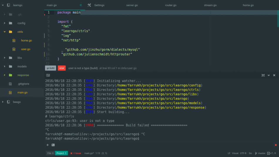 atom va golang 65e61cedd2dc9