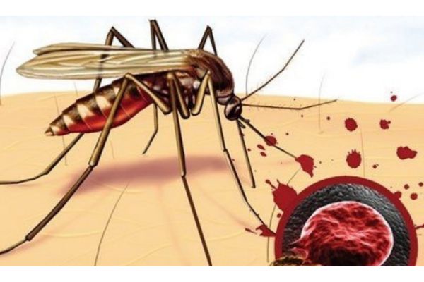 bezgak nima va uning belgilari qanday 65f04e134d6af