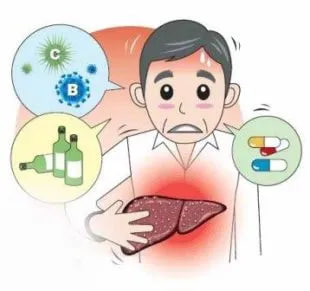 Gepatit C nima va u qanday zararli