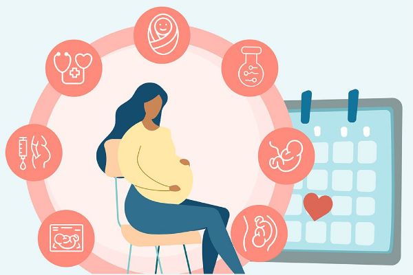 homiladorlik kalkulyatori qanday hisoblanadi 65f04c404be1d