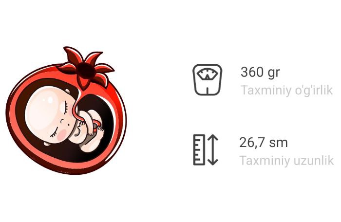 homiladorlikning 21 haftaligida nimalar boladi 65f044b2bd5b2