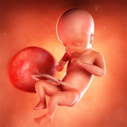 Homiladorlikning 21 haftaligida nimalar bo’ladi 2 homiladorlikning 21 haftaligida nimalar boladi 65f044b32902f