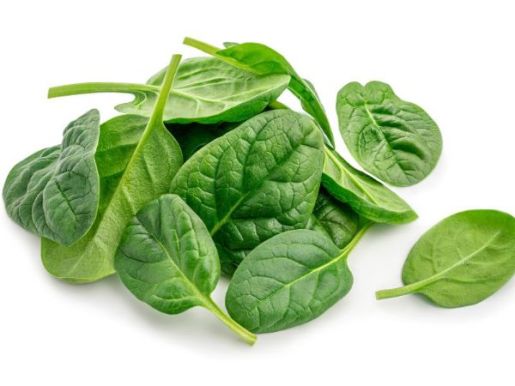 Ismaloqning qanday foydalari bor 2 ismoloq