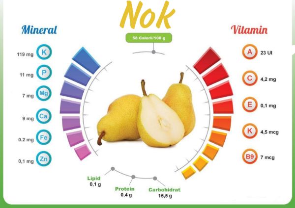 Nokning siz bilmagan foydali xususiyatlari 2 Нокнинг сиз билмаган фойдали хусусиятлари