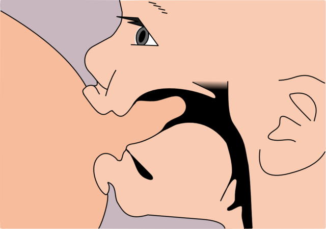 ona sutini kopaytiradigan mahsulotlar 65f04d1832525