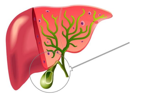 ot pufagi jarrohligi nima va uning turlari 65f04c1997d0e