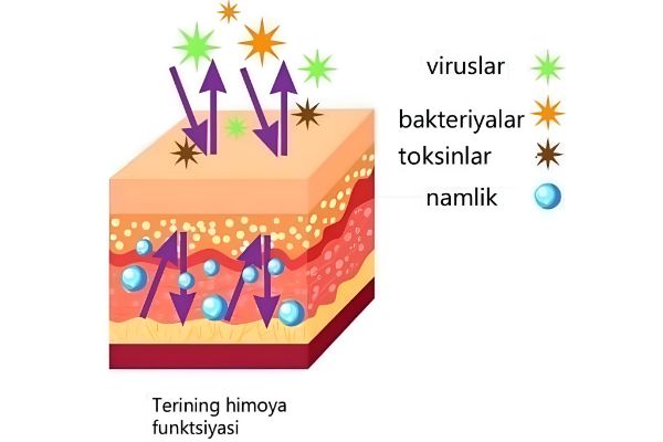 terining fiziologik vazifalari 65f04cea8f755