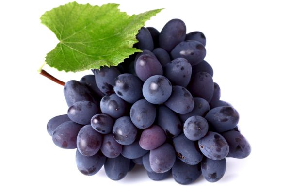 uzumning shifobaxsh xususiyatlari haqida 65f04edb92a95