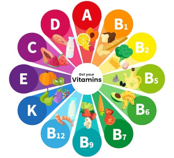 vitaminlar nima va ularning organizimidagi vazifalari 65f04983e58dd