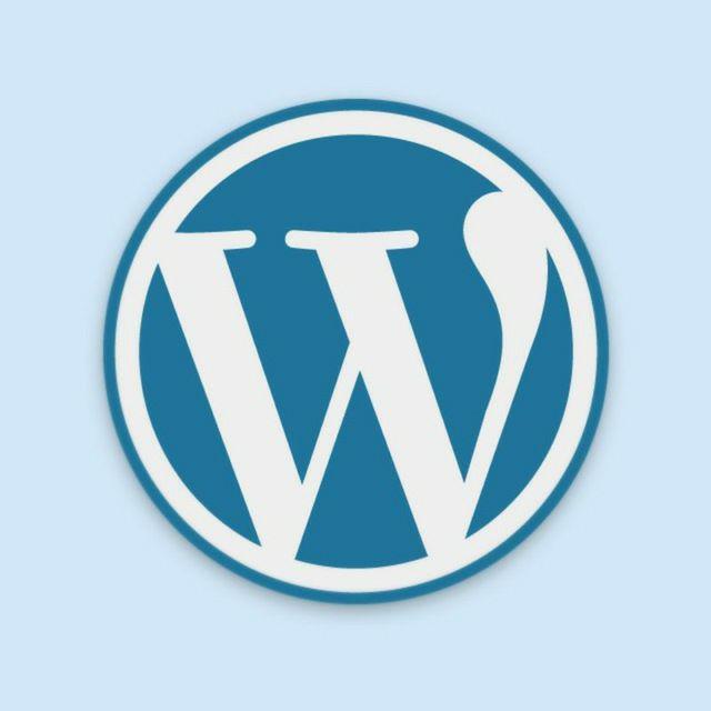 wordpress orqali pul ishlash 65e612624c301