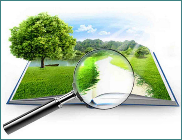 1 gektardan ortiq uchastkaga ega yast tocabblovchilar yer soligcabbi hisob kitobini qachon taqdim etadi 660bcb0ddb138