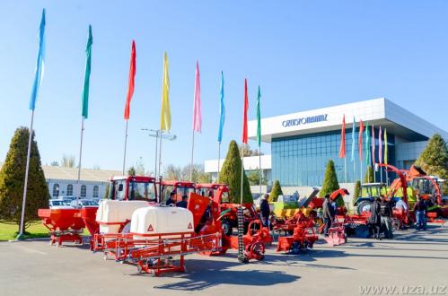 2018 yildan boshlab yongcabboq navlari klonlashtiriladi 660bce396699b